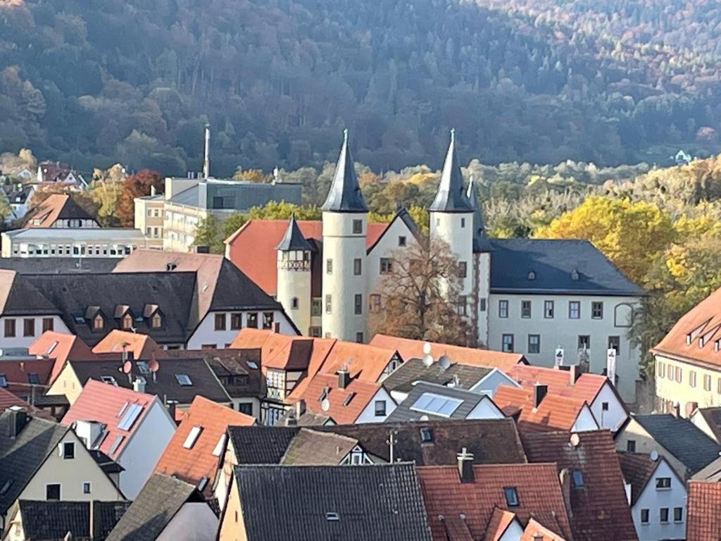 Wohnen Im Springerhof Apartment Lohr Екстериор снимка