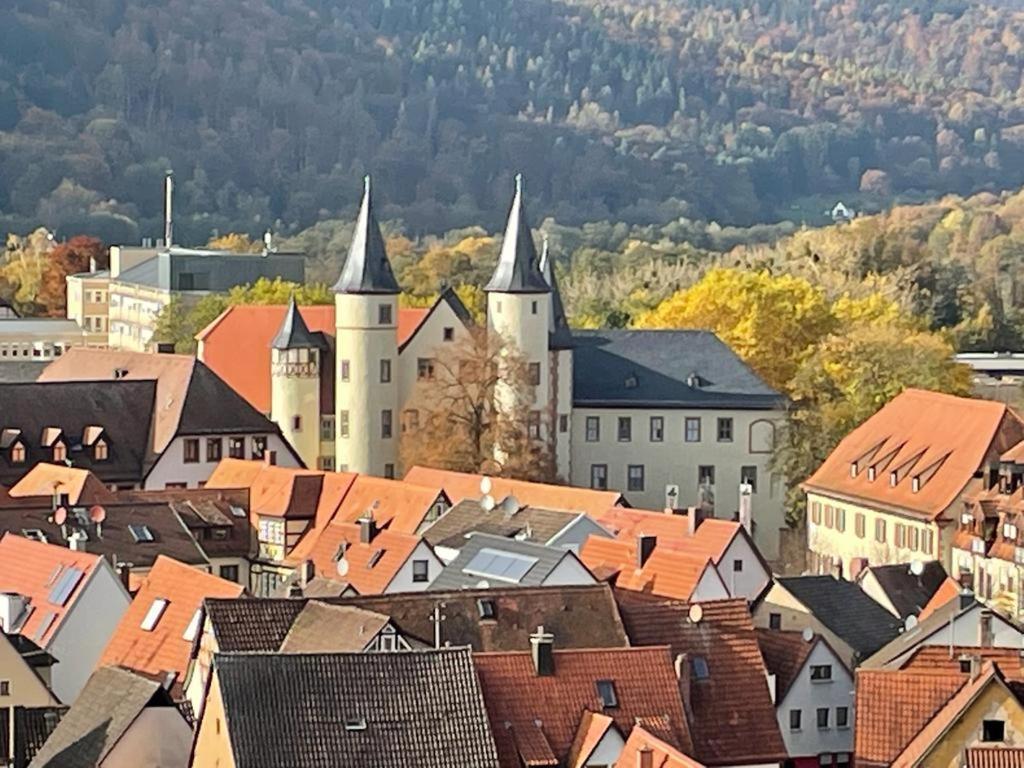 Wohnen Im Springerhof Apartment Lohr Екстериор снимка