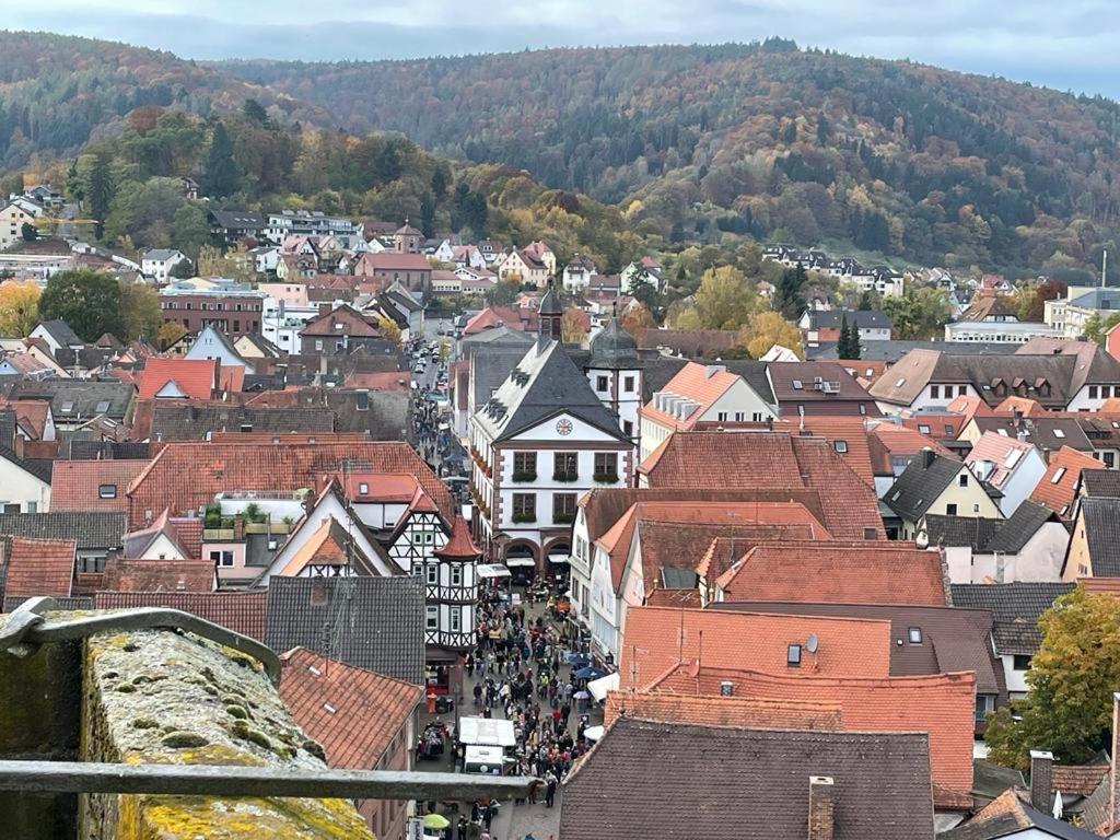 Wohnen Im Springerhof Apartment Lohr Екстериор снимка