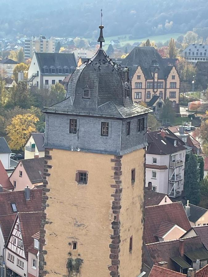 Wohnen Im Springerhof Apartment Lohr Екстериор снимка